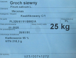 Groch siewny Mecenas