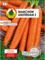 Marchew jadalna Amsterdam II 6 m