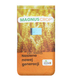 Jęczmień KWS Harris