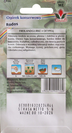 Ogórek konserwowy Rodos 5 g nasiona Coleus