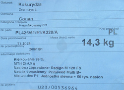 Kukurydza siewna Conan kwalifikat C1