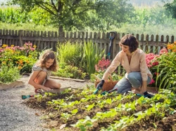 Łopatka do kwiatów Combisystem 8929-20 Gardena