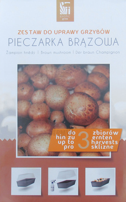 Pieczarka brązowa zestaw do uprawy 3 L