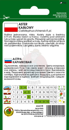 Aster karłowy biały 0,8 g