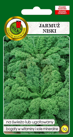 Jarmuż niski Dwarf Green Curled 5 g