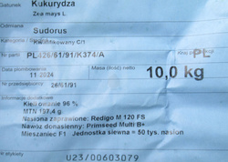Kukurydza siewna Sudorus kwalifikat C1