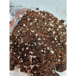 Podłoże do Calathea, Maranta 3 L (...4282)