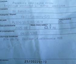 Pszenica ozima SU Banatus