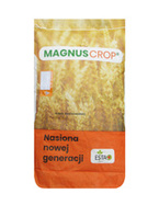 Owies ozimy KWS Snowbird 1/2 j. s.