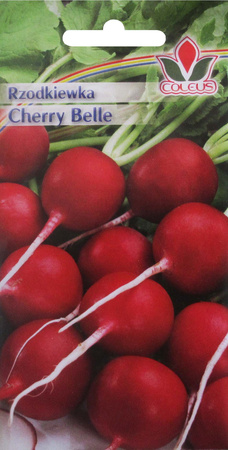 Rzodkiewka Cherry Belle 10 g nasiona Coleus