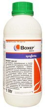 Boxer 800EC 1L