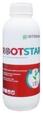 Rootstar 1 L Intermag