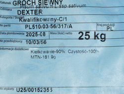 Groch siewny ozimy Dexter kwalifikat C1 nasiona