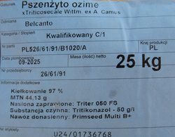 Pszenżyto ozime Belcanto nasiona kwalifikat C1