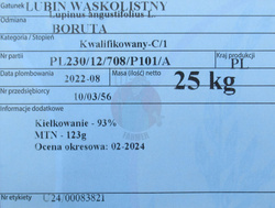 Łubin wąskolistny Boruta