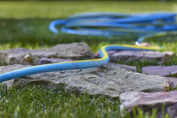 Wąż ogrodowy Professional 3/4" 50 m