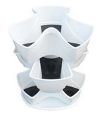 Ziołówka Coubi biała