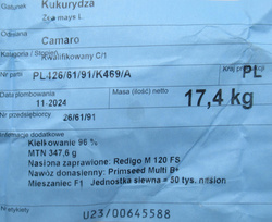 Kukurydza siewna Camaro kwalifikat C1