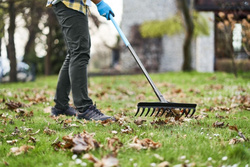 Grabie uniwersalne IDEAL PRO