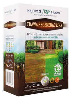 Mieszanka traw Regeneracyjna 0,5 kg