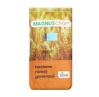 Pszenżyto Jare Impetus nasiona kwalifikat C1