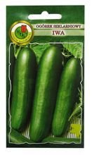 OGÓREK SZKLARNIOWY IWA 1g