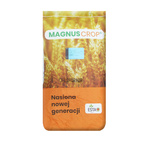 Pszenica ozima California nasiona kwalifikat C1