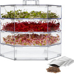 Multilevel sprouter Nice herb - Set