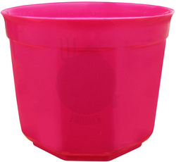 OSŁONKA 19 AMARANT PERŁA