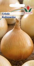 Cebula zwyczajna Kutnowska 5 g nasiona Coleus