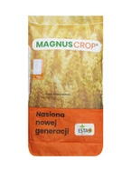 Owies ozimy KWS Snowbird 1/2 j. s.