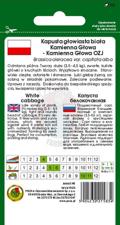 Kapusta głowiasta biała Kamienna Głowa 2 g
