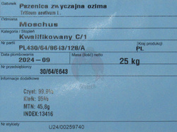 Pszenica ozima Moschus