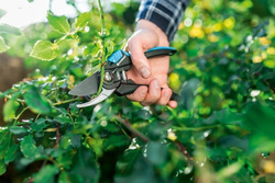 Sekator nożycowy ERGO