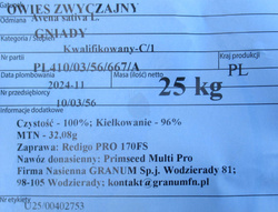 Owies Gniady nasiona kwalifikat C1