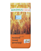 Jęczmień jary Soldo nasiona kwalifikat C1