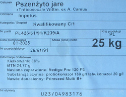 Pszenżyto Jare Impetus nasiona kwalifikat C1