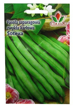 FASOLA SZPARAGOWA ZWYKŁA KARŁOWA SOTEXA 50g