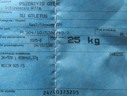 Pszenżyto ozime SU Atletus nasiona kwalifikat C1