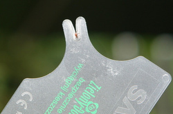 WYCIĄGACZ KLESZCZY SAFECARD