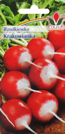 RZODKIEWKA KRAKOWIANKA 10g