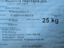 Pszenica jara KWS Dorium nasiona kwalifikat C1