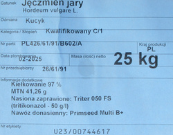 Jęczmień Kucyk