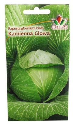 KAPUSTA GŁOWIASTA BIAŁA KAMIENNA GŁOWA 1g
