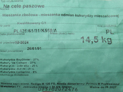 Kukurydza siewna mieszańcowa mieszanka odmian kwalifikat C1