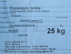 Pszenżyto Octavio