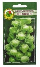 KAPUSTA BRUKSELSKA DOLORES F1 0,5g