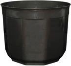 OSŁONKA 19 CZARNA PERŁA