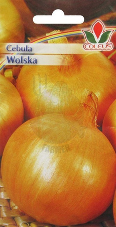 CEBULA WOLSKA 5g