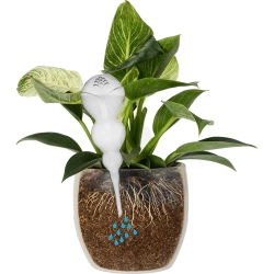 Kula nawadniająca potrójna (trzykomorowa), przezroczysta bezbarwna, 600 ml (720990)